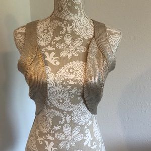 Silver glittered sweater vest